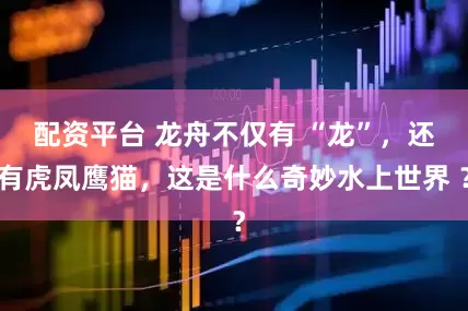 配资平台 龙舟不仅有 “龙”，还有虎凤鹰猫，这是什么奇妙水上世界 ？